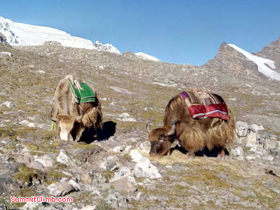 Cho Oyu Team ready for expedition